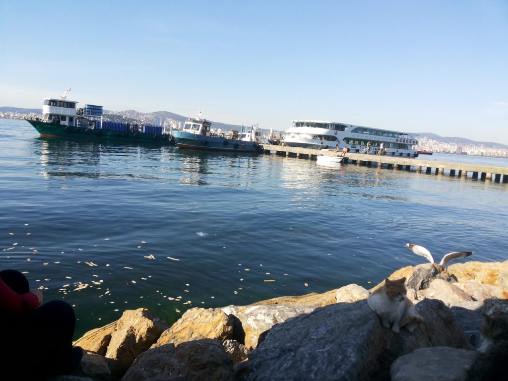 ساحل بویوک آدا