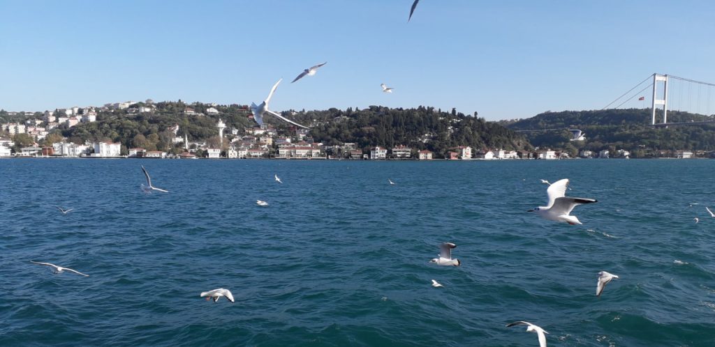 دریای مرمره